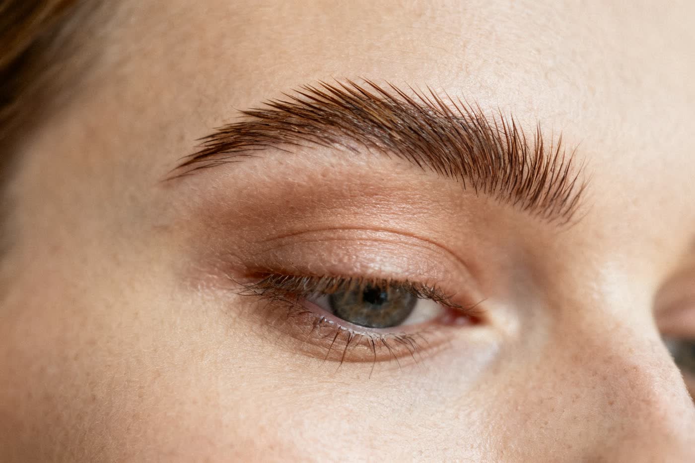A groomed brow brushed upward into a clean arch